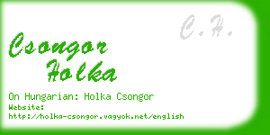 csongor holka business card